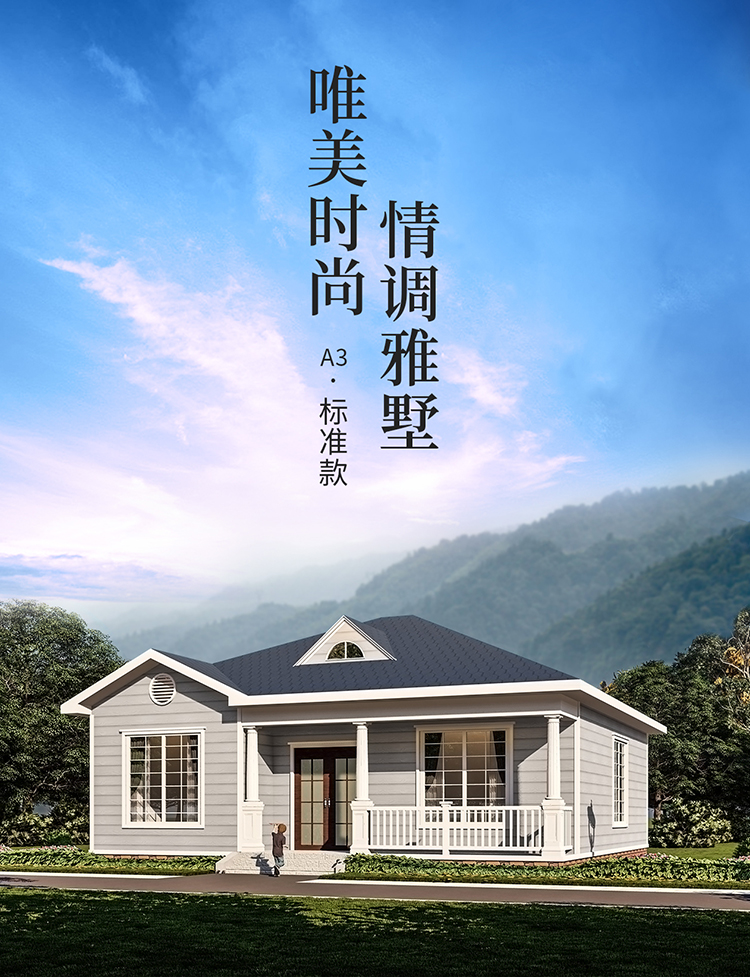 A3.标准款